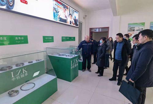 省科技厅领导到中机轴承视察调研