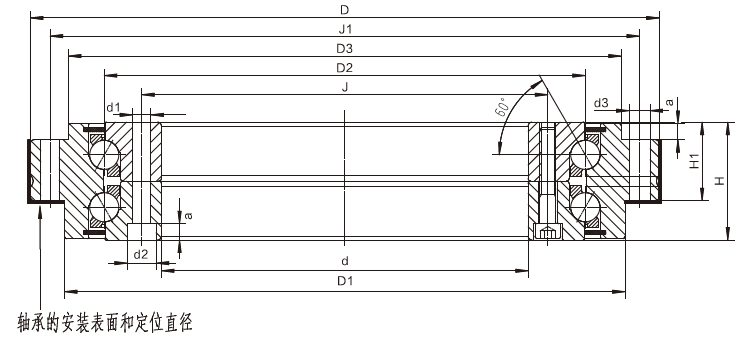 双排推力角接触球轴承